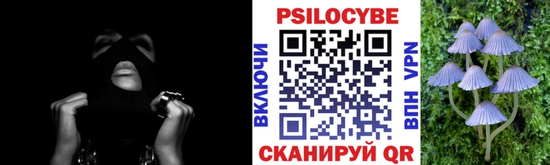blacksprut ссылка  Рыбное  Галлюциногенные грибы Psilocybine cubensis 